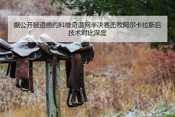 据公开报道德约科维奇温网半决赛击败阿尔卡拉斯后技术对比深度