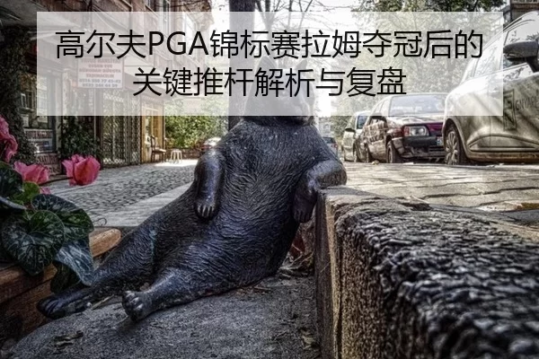 gao-er-fu-jin-biao-sai-la-mu-duo-guan-hou-de-guan-jian-tui-gan-jie-xi-yu-fu-pan-2-507.jpg